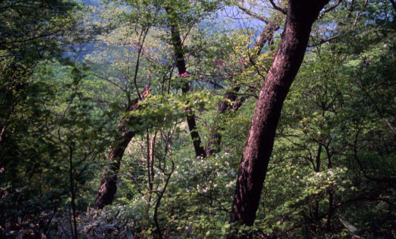〓山