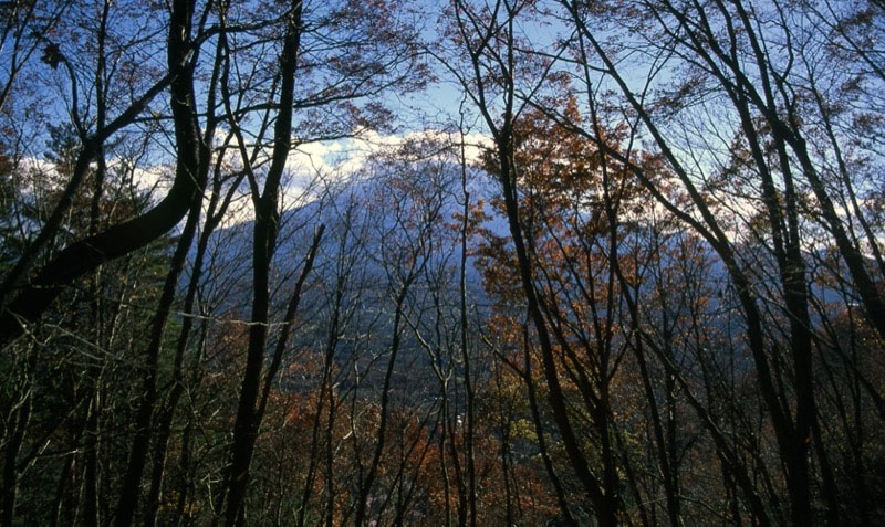 足和田山