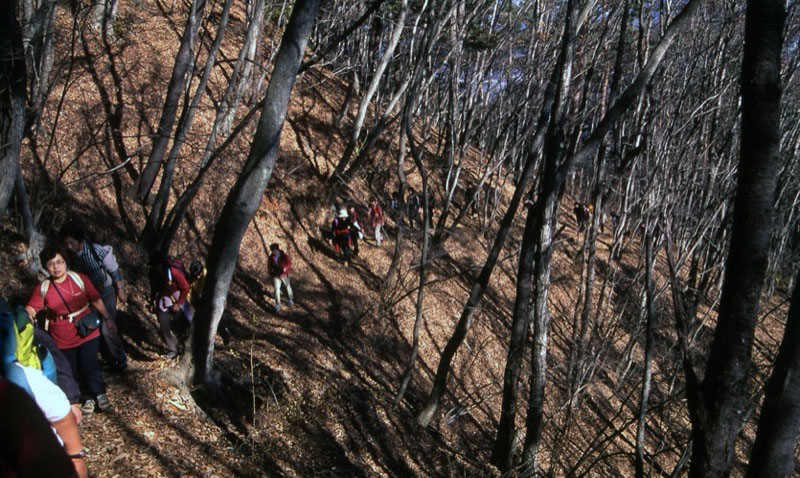 足和田山