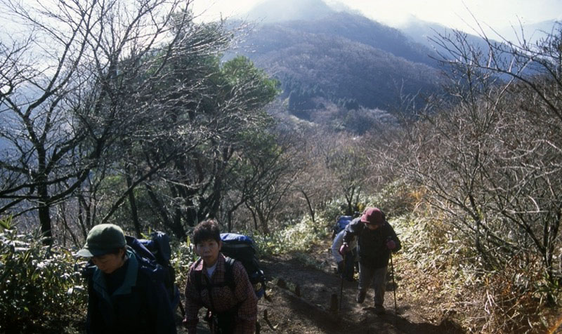 金時山