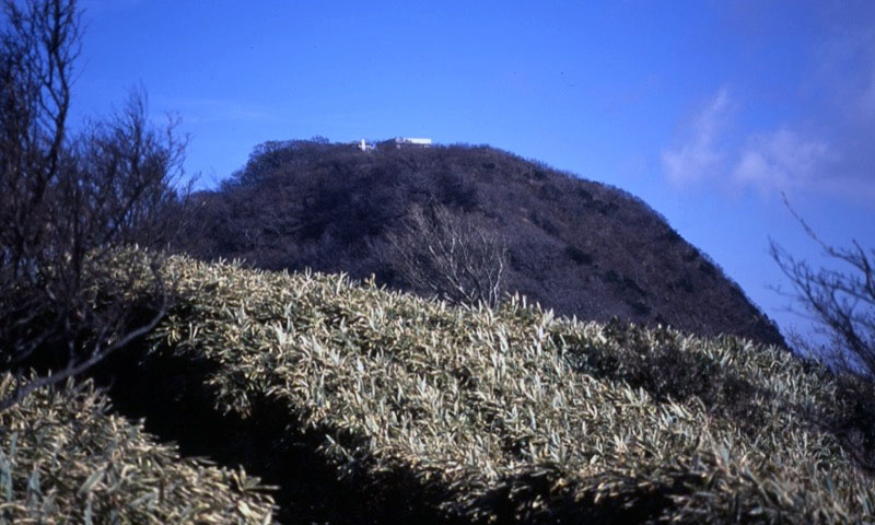 金時山