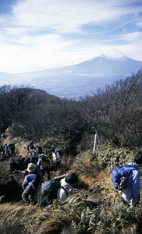 金時山