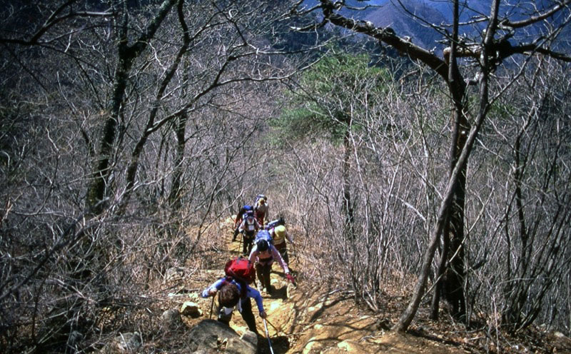 高川山