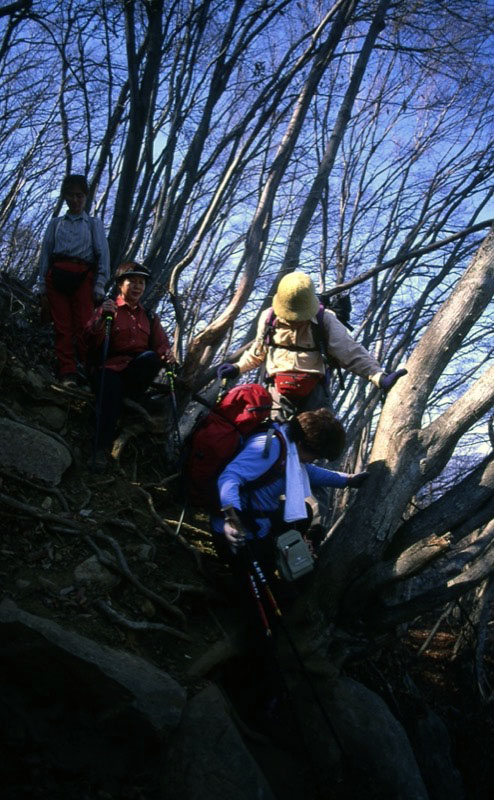 高川山