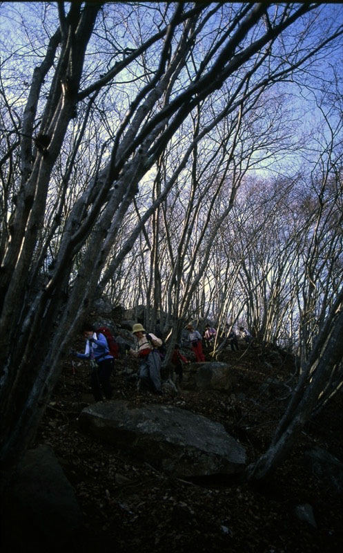 高川山