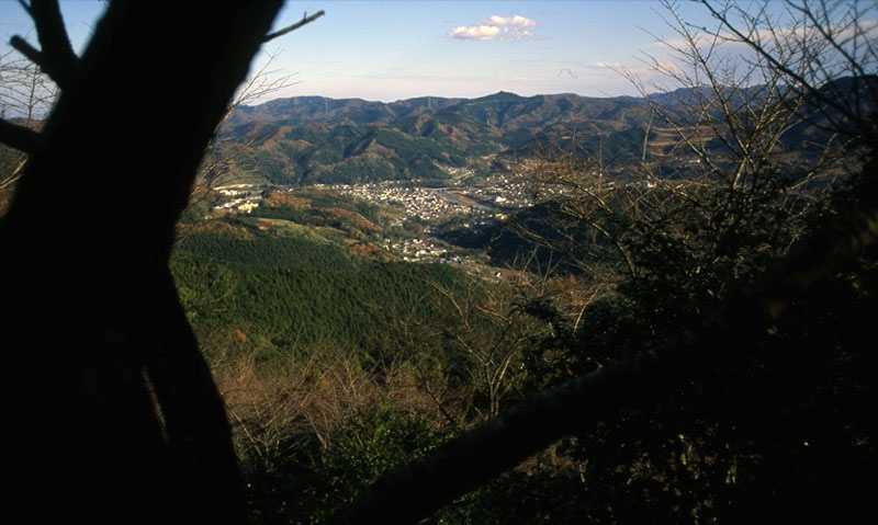 桜山、冬桜、モミジ、サザンカ、ツバキ