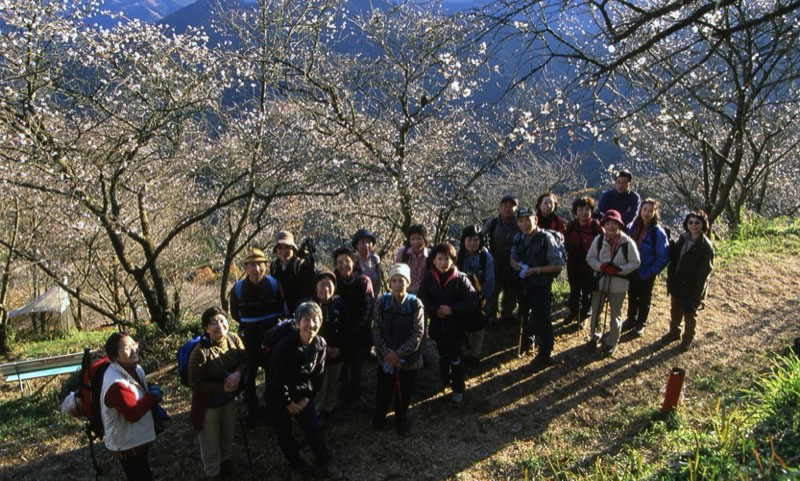 桜山、冬桜、モミジ、サザンカ、ツバキ