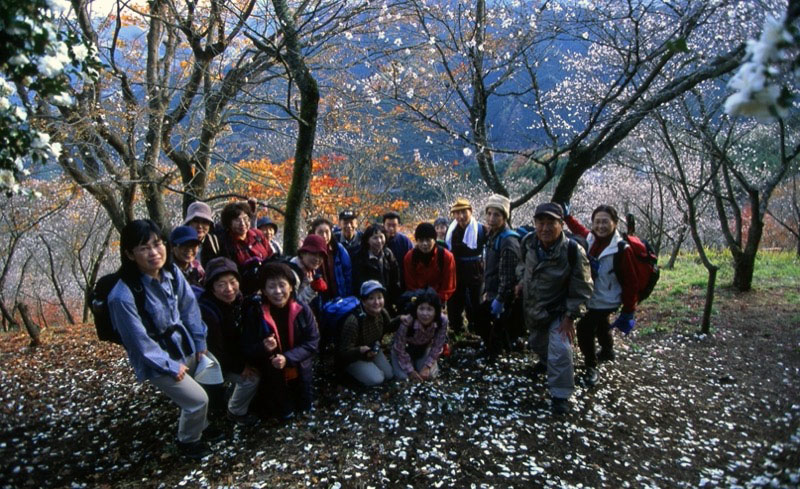 桜山、冬桜、モミジ、サザンカ、ツバキ