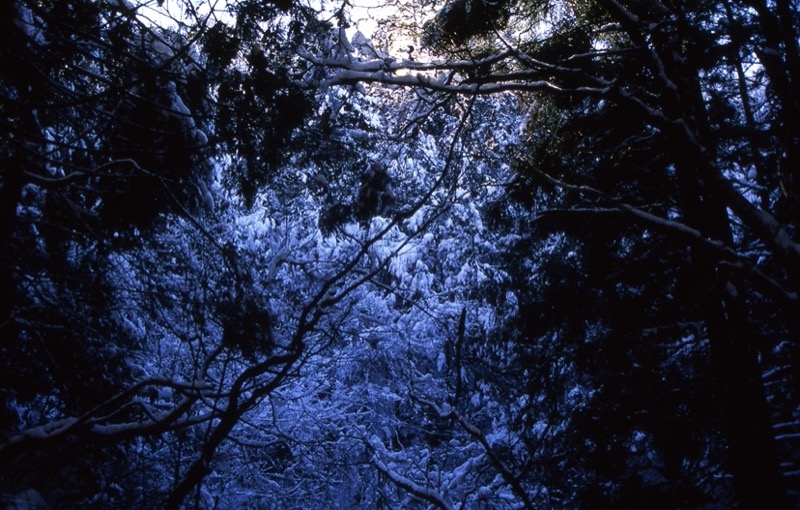 高川山