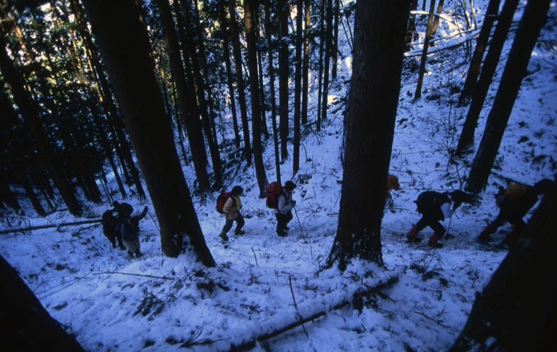 高川山