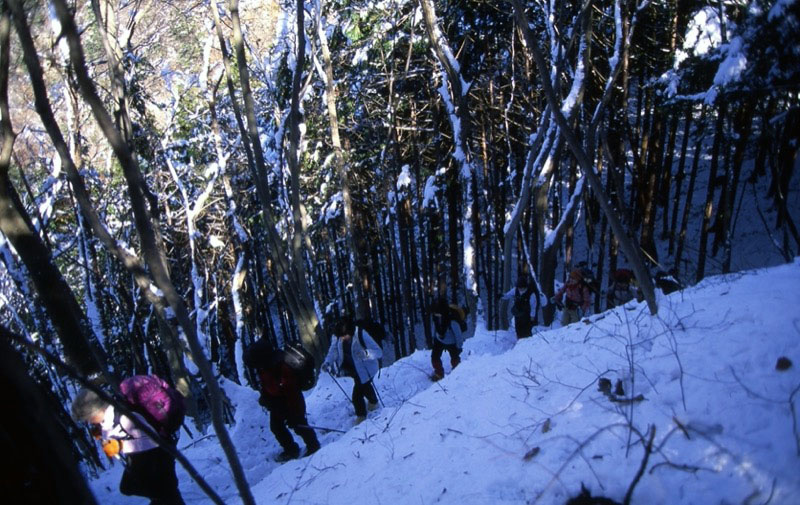 高川山