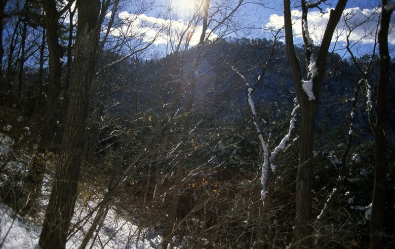 高川山