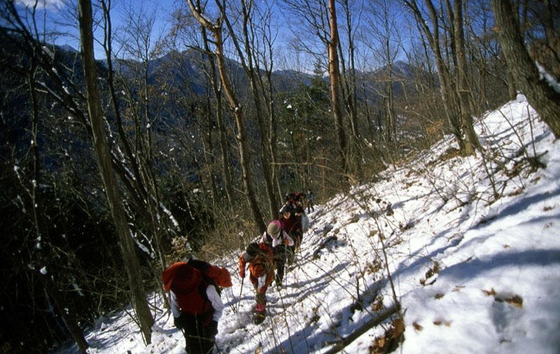 高川山