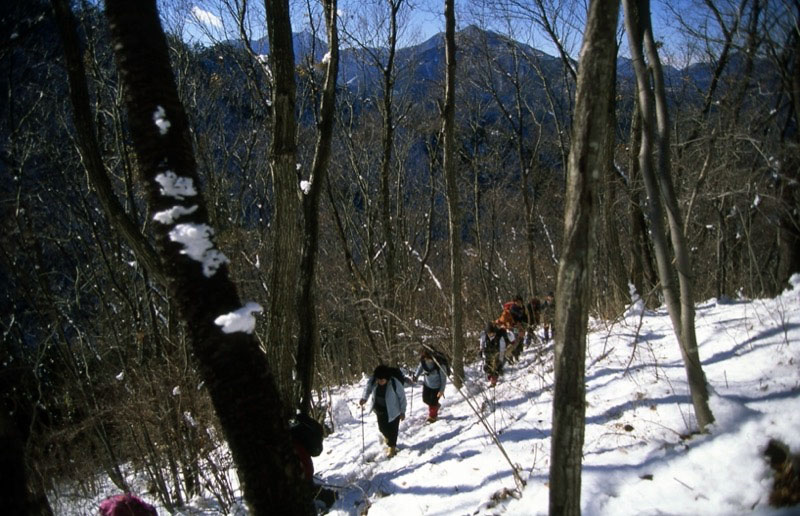 高川山