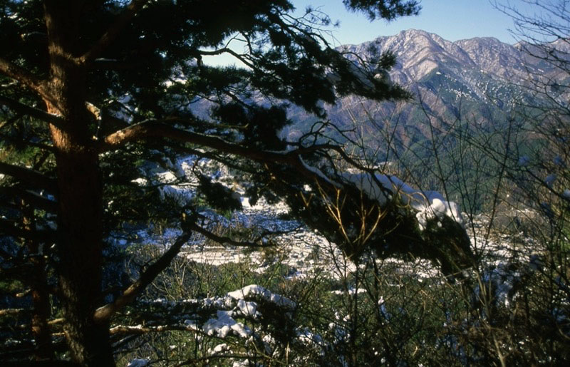 高川山