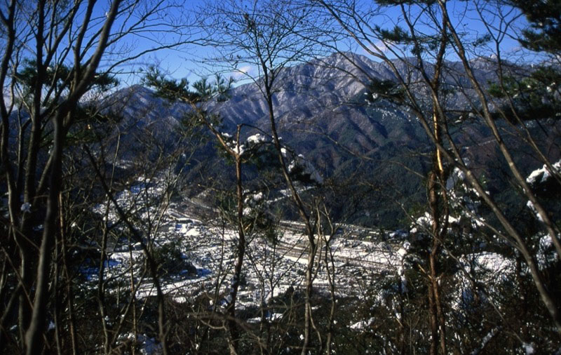 高川山