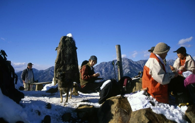 高川山