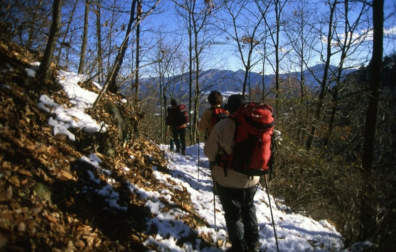 高川山