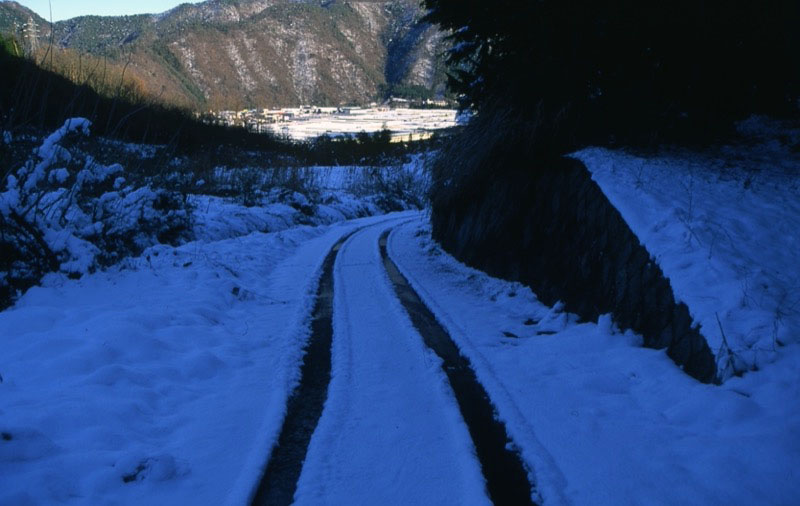 高川山