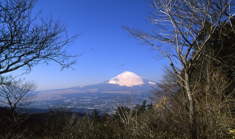 金時山