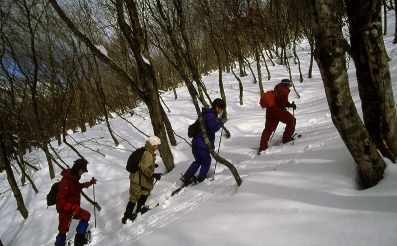 伯耆大山、三瓶山