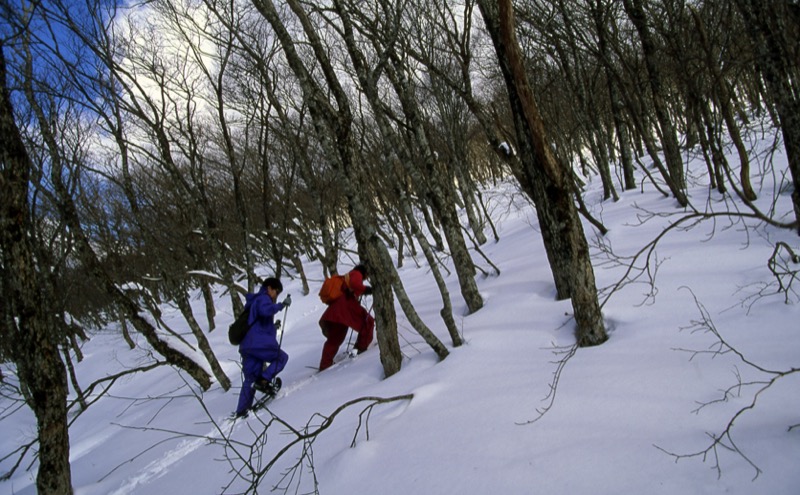 伯耆大山、三瓶山