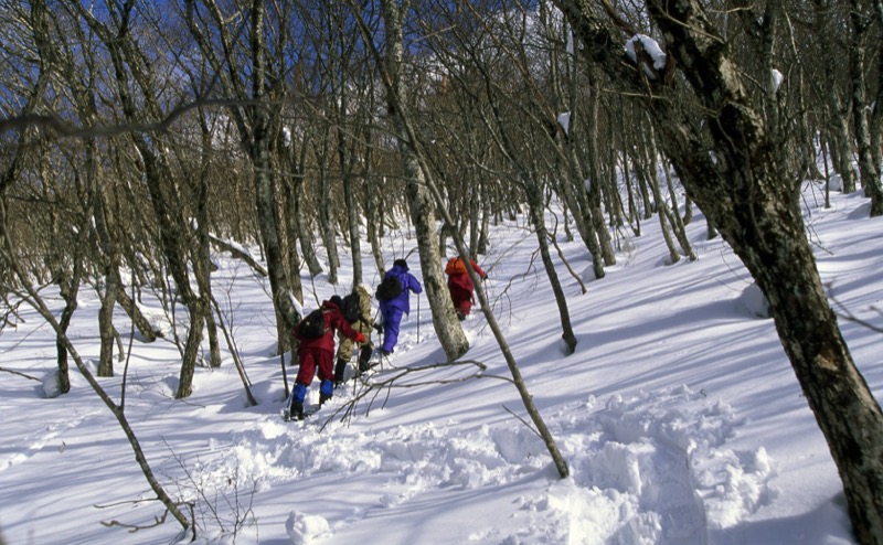 伯耆大山、三瓶山