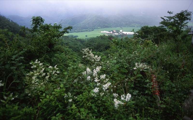 伯耆大山、三瓶山