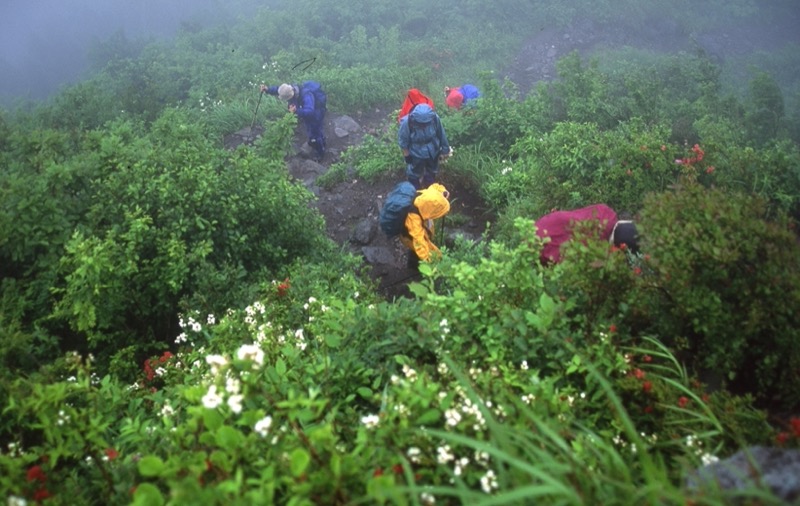 伯耆大山、三瓶山