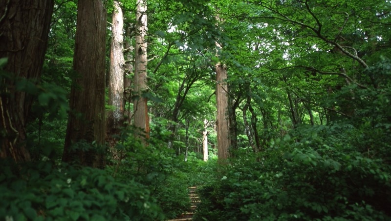 伯耆大山、三瓶山