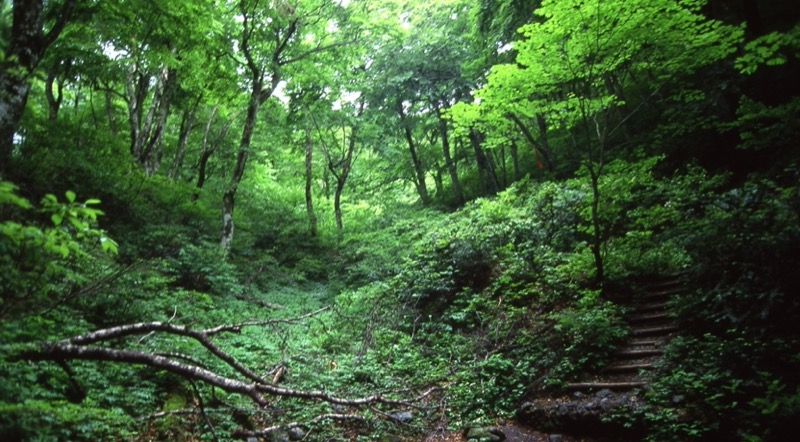 伯耆大山、三瓶山