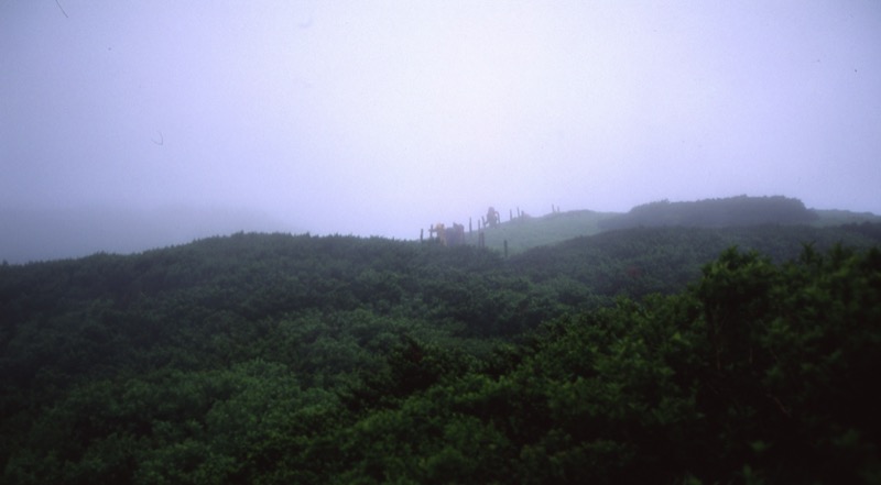 伯耆大山、三瓶山