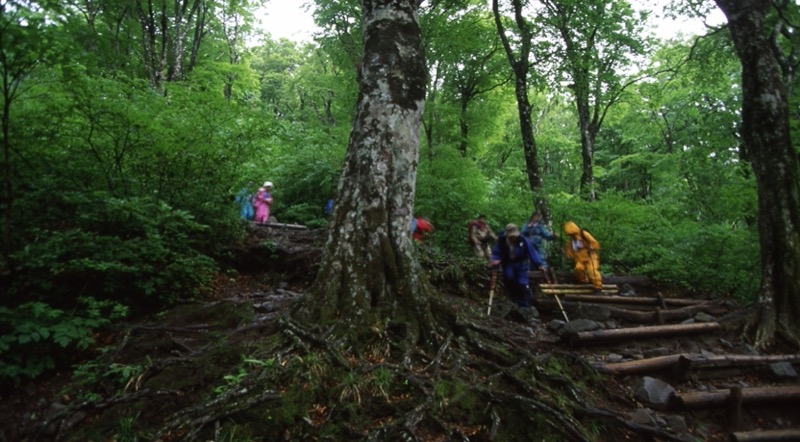 伯耆大山、三瓶山