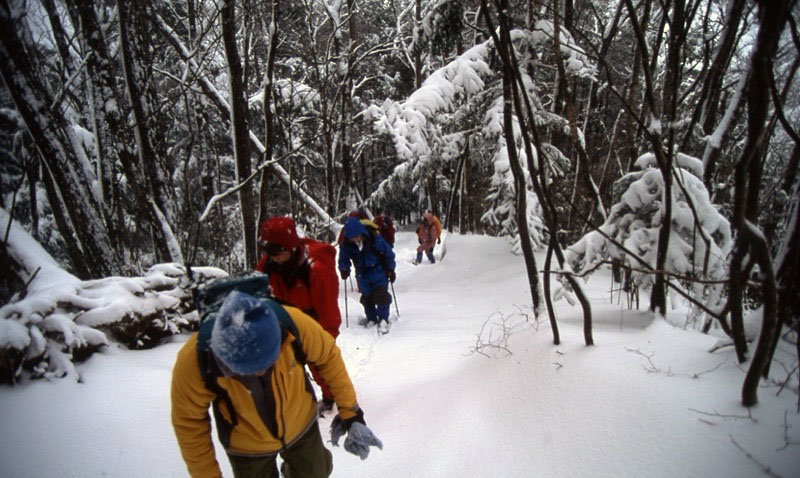 足和田山