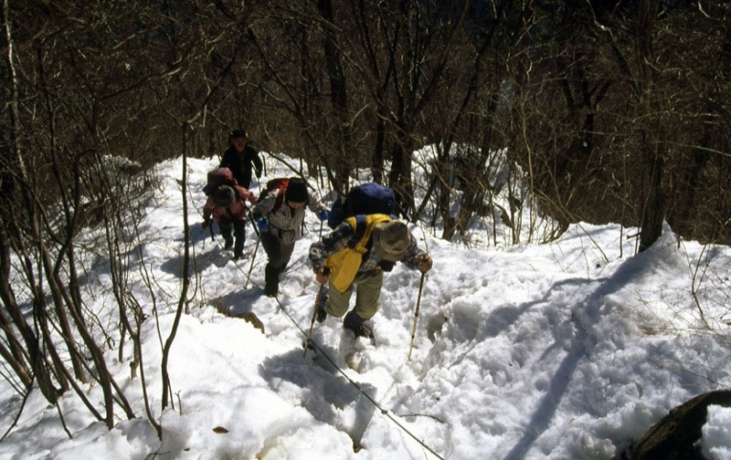 高川山