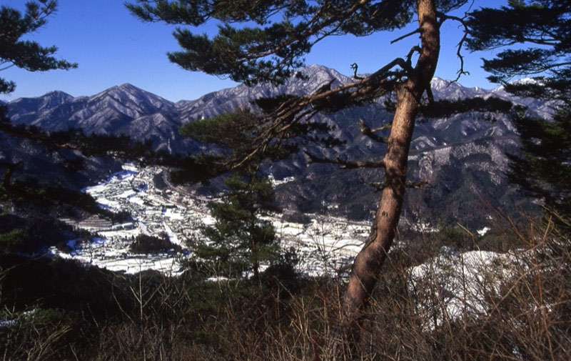 高川山