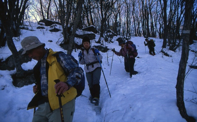 高川山