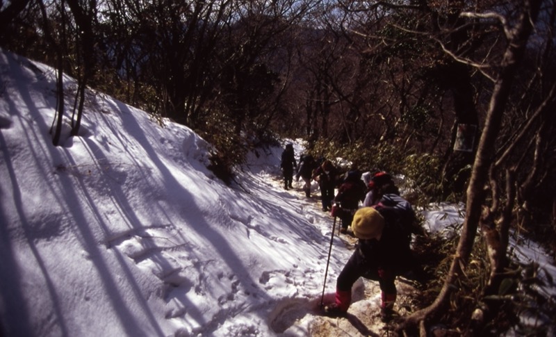 金時山