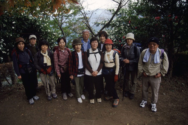 桜山、冬桜、モミジ、サザンカ、ツバキ