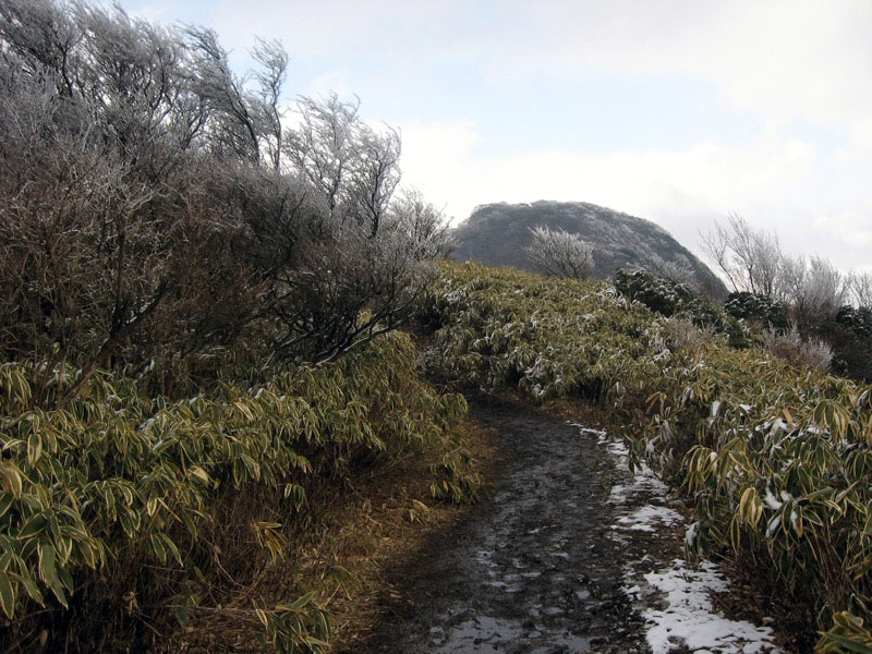 金時山