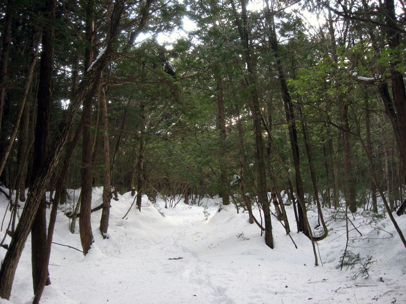 足和田山