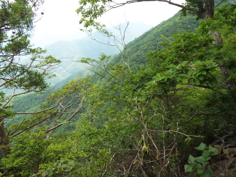 滝子山