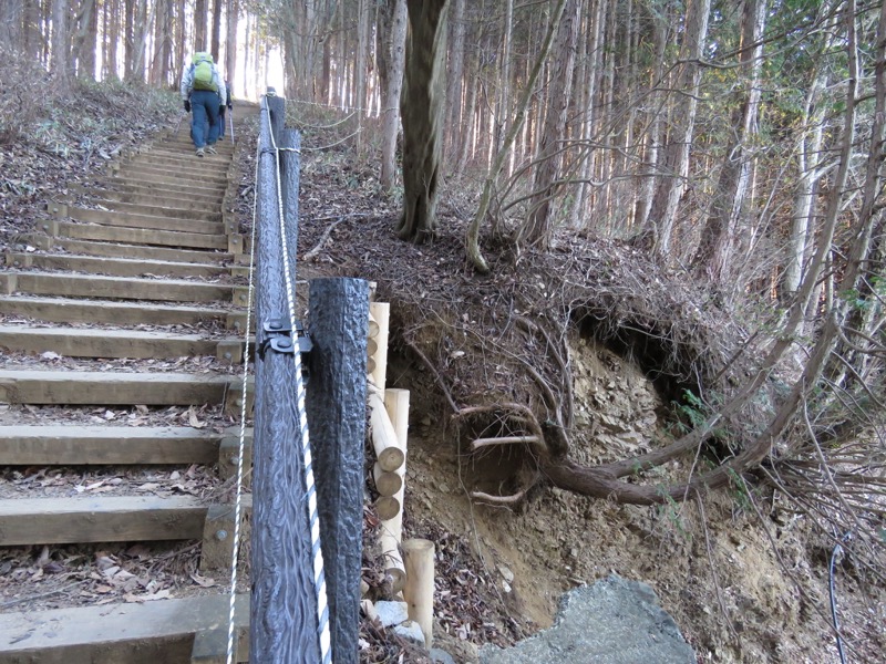 陣馬山,登山