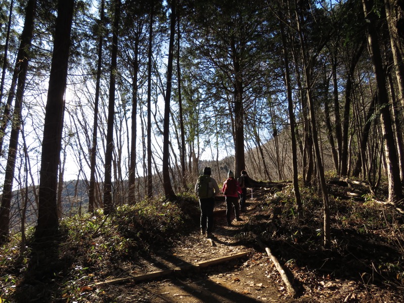 陣馬山,登山