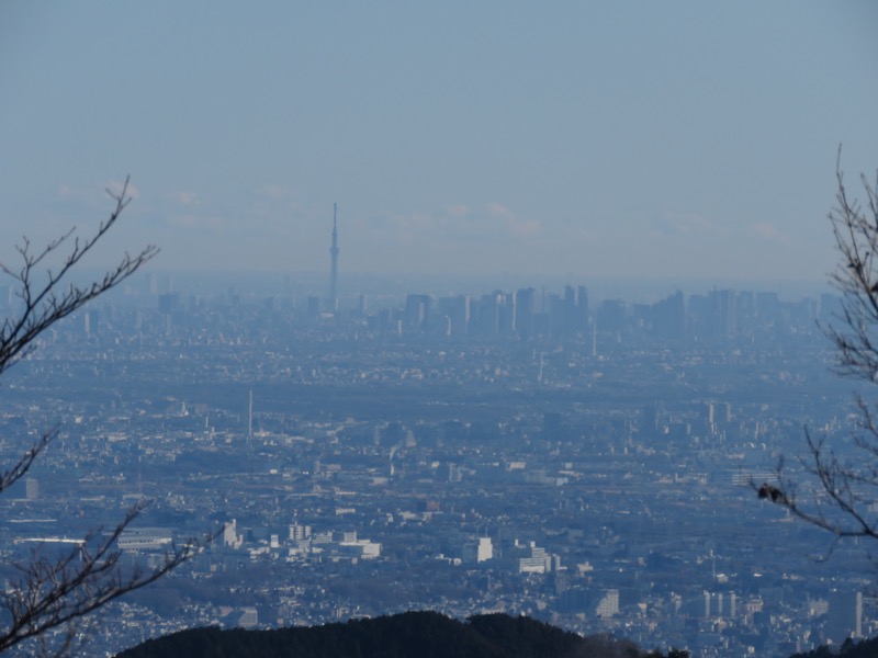 陣馬山,登山