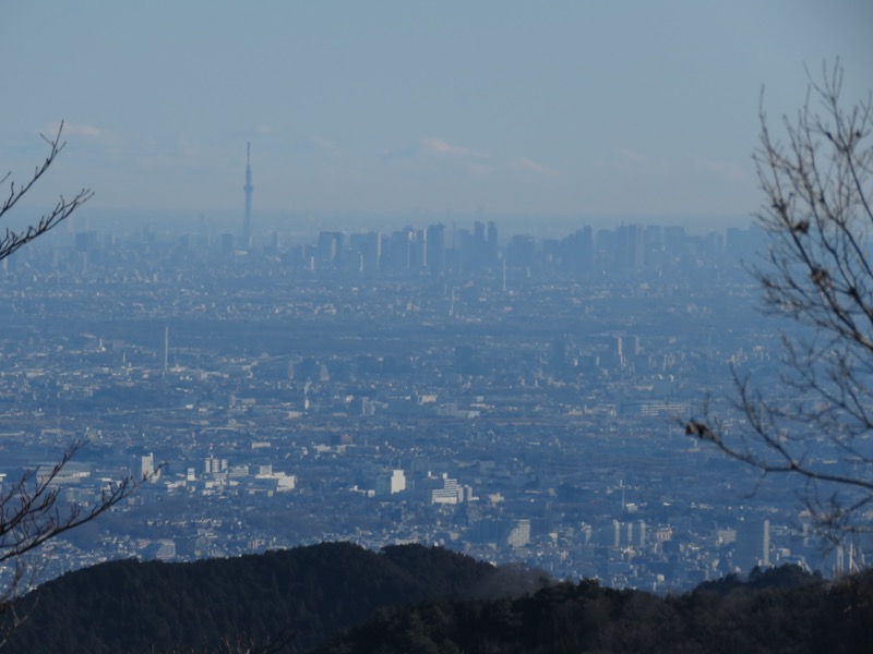陣馬山,登山