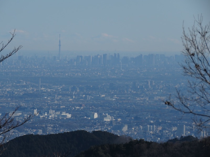 陣馬山,登山