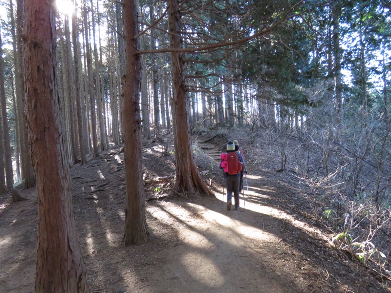 陣馬山,登山