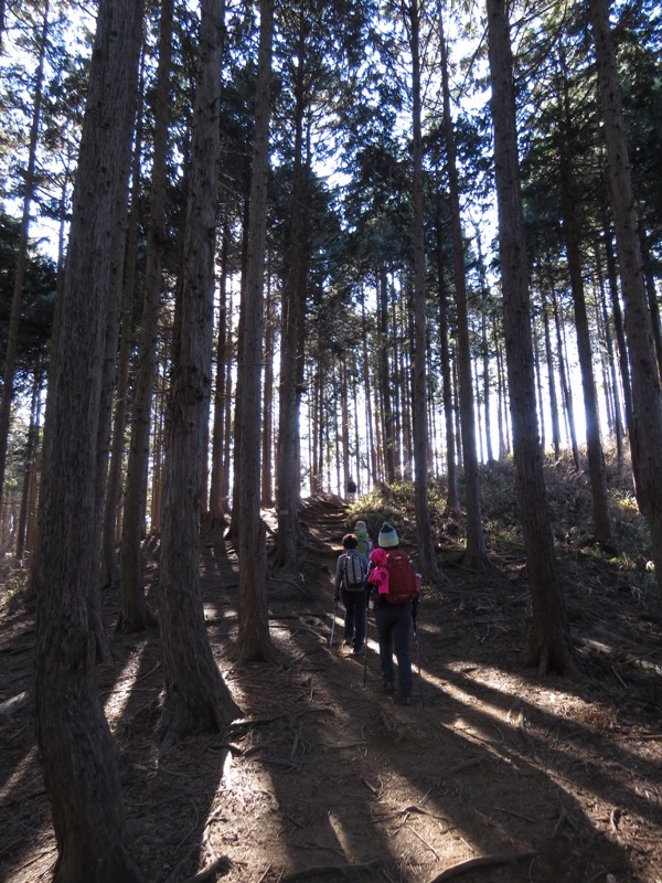 陣馬山,登山