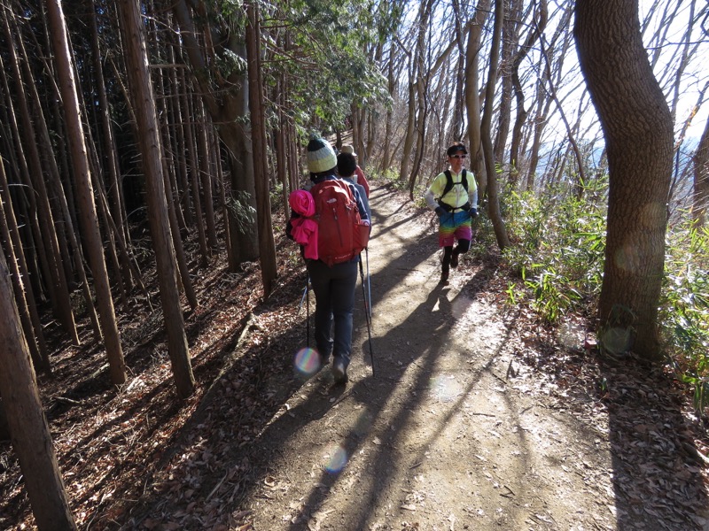 陣馬山,登山